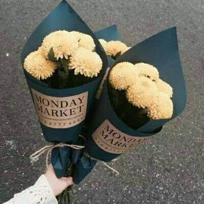 新天地棋牌手机app下载